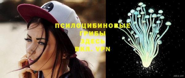 бутират Арсеньев