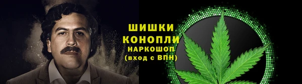 амф Алзамай