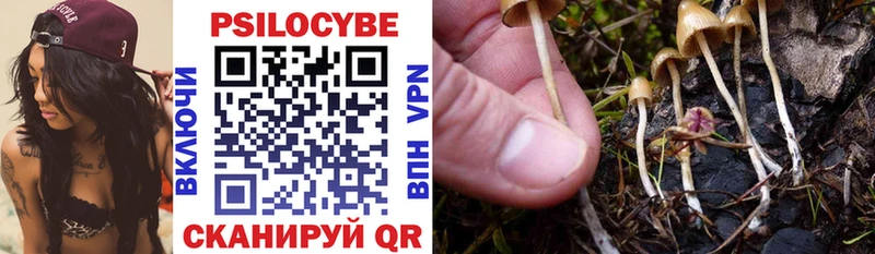 Купить закладки  Крымск  Псилоцибиновые грибы Psilocybine cubensis 